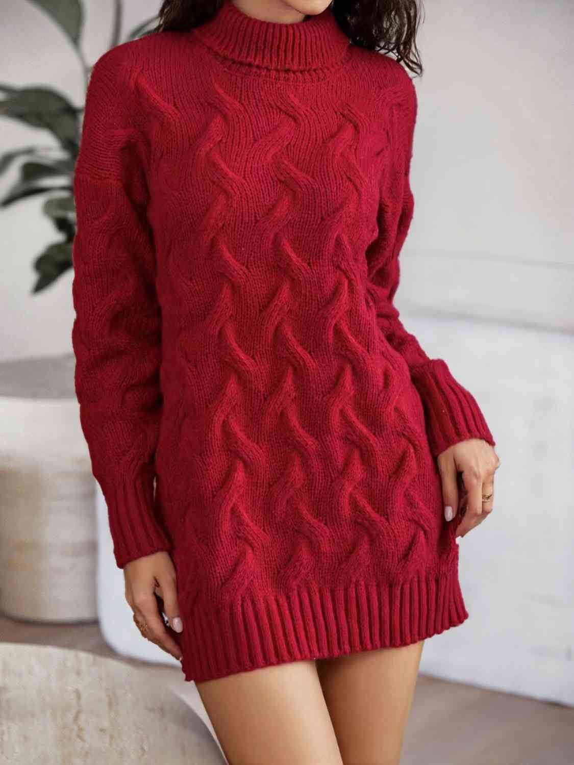 TFE: Knit Turtleneck Sweater Dress