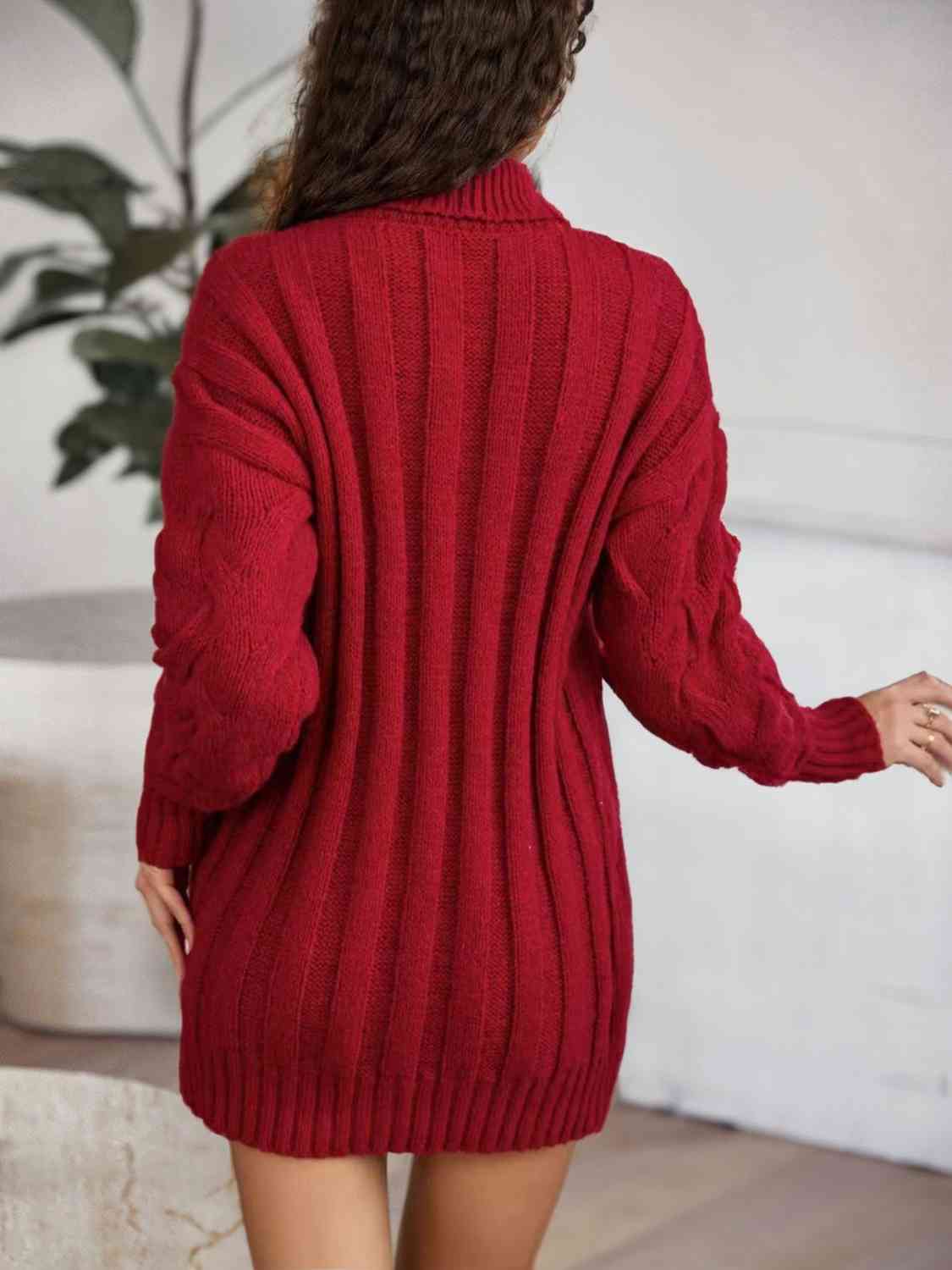 TFE: Knit Turtleneck Sweater Dress