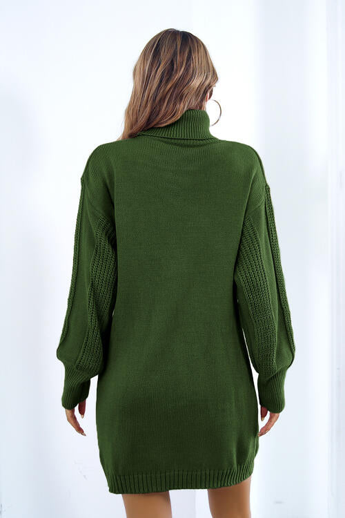 TFE: Turtleneck Long Sleeve Sweater Dress