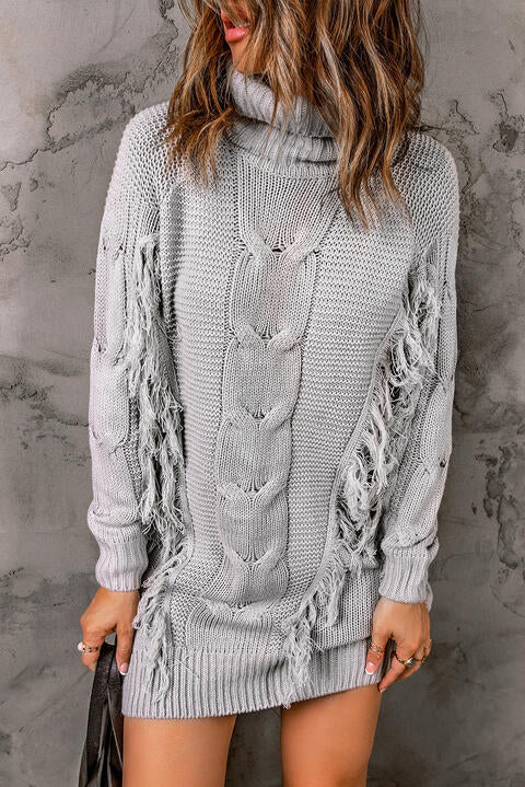 TFE: Frosty Whisper Turtleneck Fringe Detail Sweater Dress