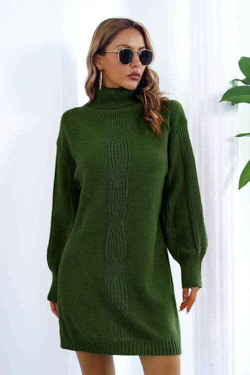 TFE: Turtleneck Long Sleeve Sweater Dress