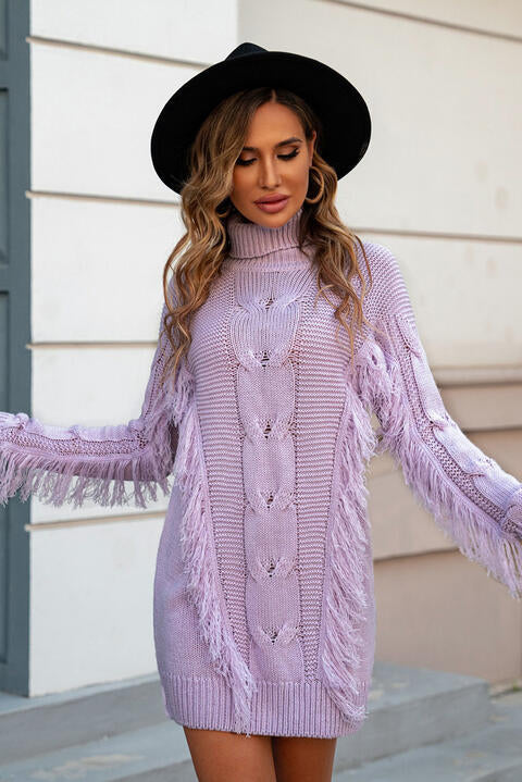 TFE: Frosty Whisper Turtleneck Fringe Detail Sweater Dress