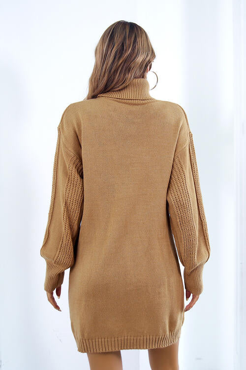 TFE: Turtleneck Long Sleeve Sweater Dress