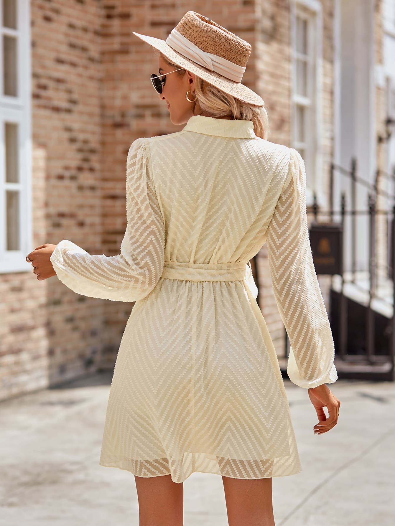 TFE: Chic Long Sleeve Mini Dress with a Stylish Surplice Neck and Belt